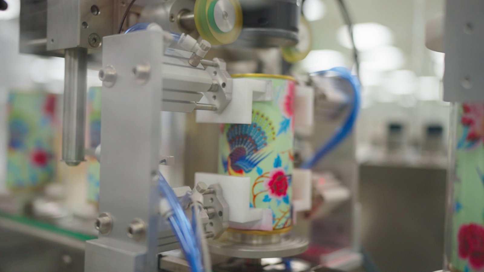 Formato especial - 2